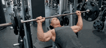 pg电子赏金试玩app 健身房健身器械的使用方法和锻炼肌肉部位展示，干货收藏