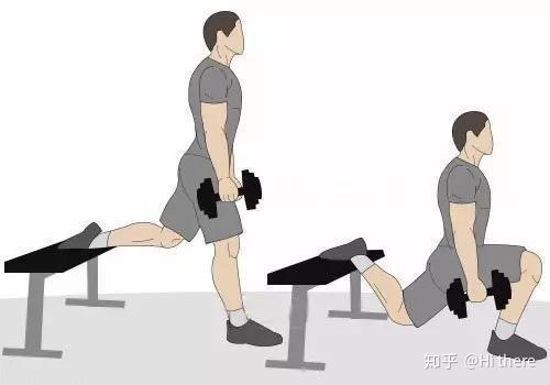 健身解剖词汇学习_健身入门词汇解释_健身手套怎么戴