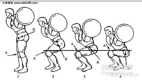 健身手套怎么戴_健身解剖词汇学习_健身入门词汇解释
