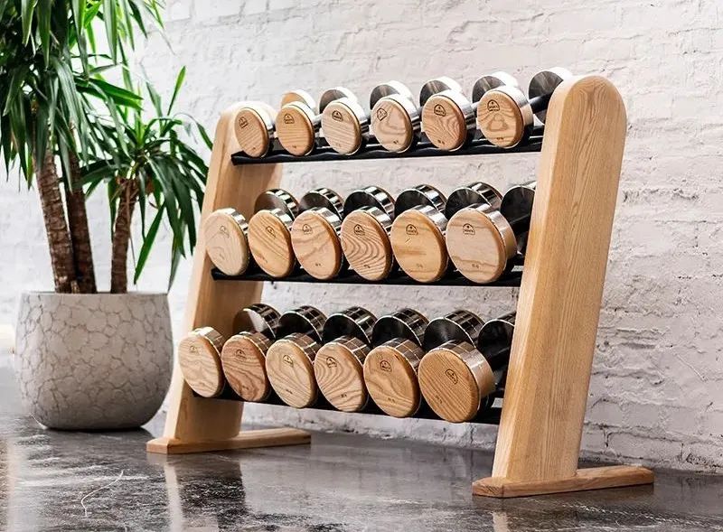 哑铃训练动作大全_哑铃居家增肌训练_大飞鸟综合训练器