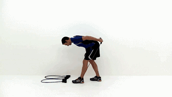 滚轮健身器_居家弹力带训练三头肌_居家弹力带训练二头肌