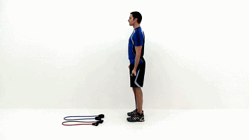 滚轮健身器_居家弹力带训练三头肌_居家弹力带训练二头肌