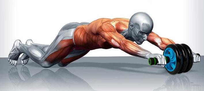 pg棋牌 一个健腹轮等于半个健身房，提高核心，但想用好是有诀窍的