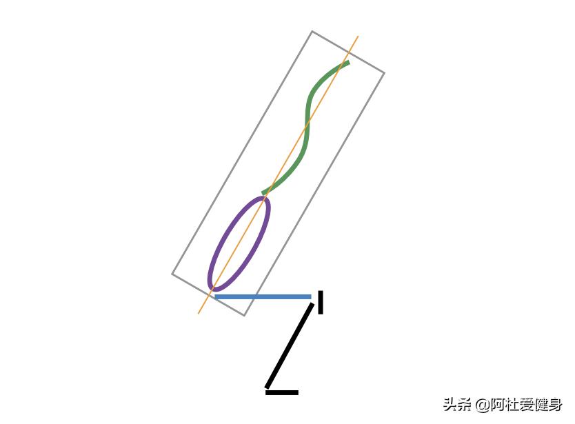 仰卧起坐健身器怎么用_GHD仰卧起坐_CrossFit核心训练