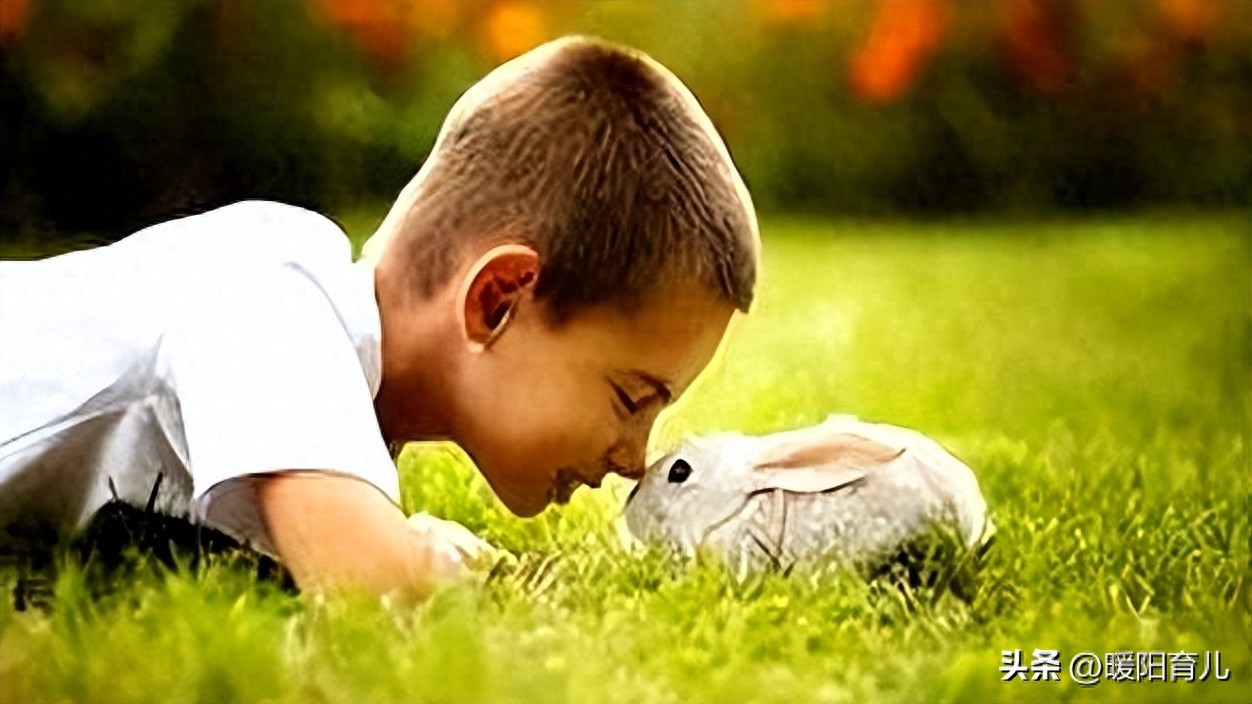 pg棋牌 孩子经常运动有什么好处？这几个儿童运动好物，让孩子停不下来