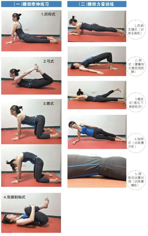 腰痛瑜伽体式推荐_瑜伽背部力量训练方法_缓解腰痛瑜伽动作