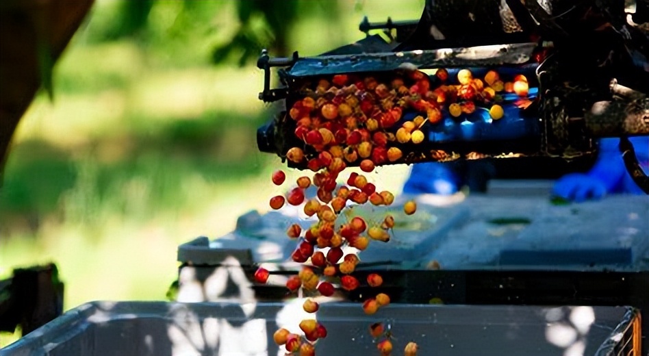 反重力跑步机原理_反重力跑步机的作用_反重力跑台原理