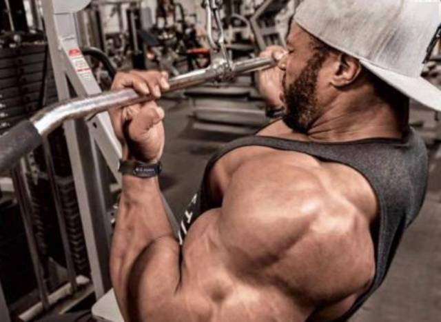 顶峰收缩_有人说健身不要顶峰收缩_肱二头肌弯举