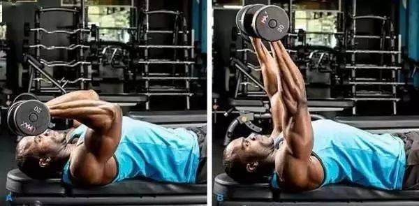 顶峰收缩_有人说健身不要顶峰收缩_肱二头肌弯举