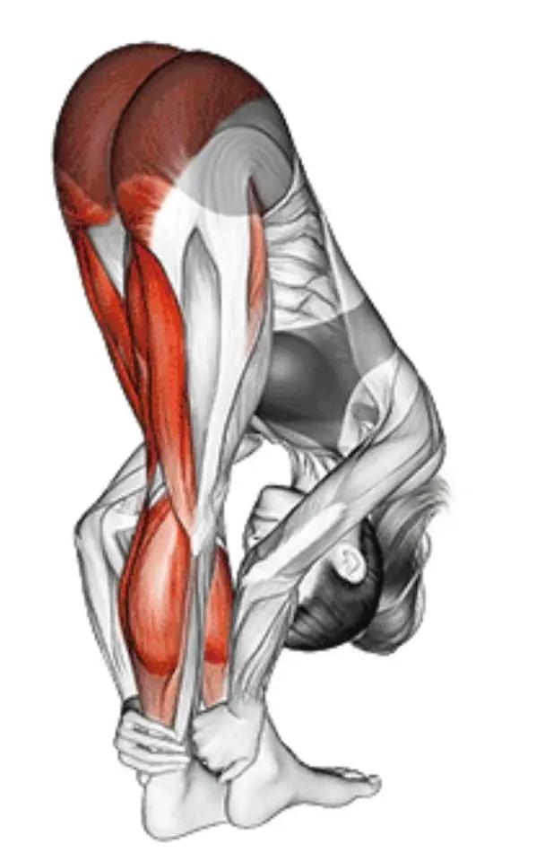 瑜伽拉力带锻炼方法_办公室拉伸动作_拉伸运动好处
