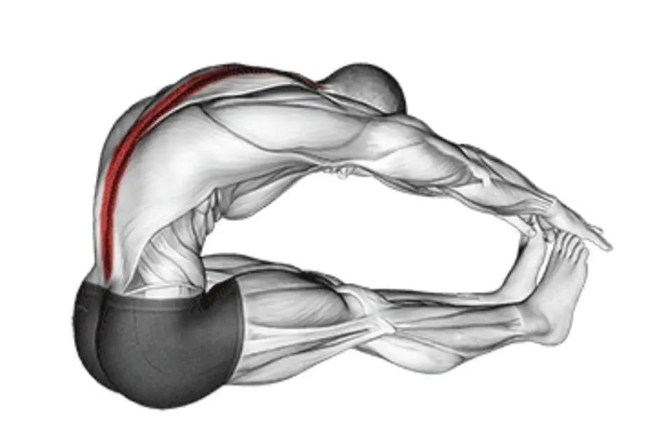 拉伸运动好处_瑜伽拉力带锻炼方法_办公室拉伸动作