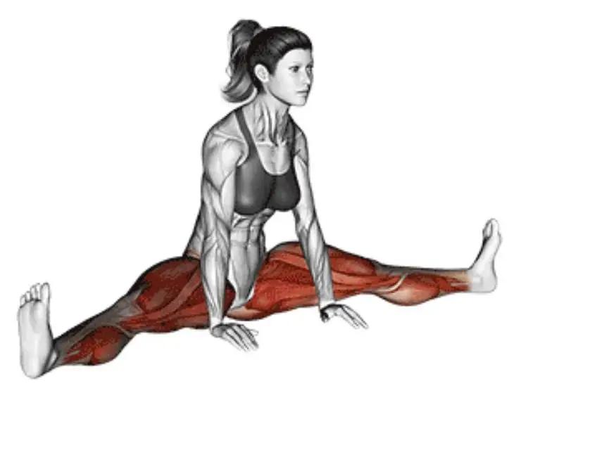 瑜伽拉力带锻炼方法_拉伸运动好处_办公室拉伸动作