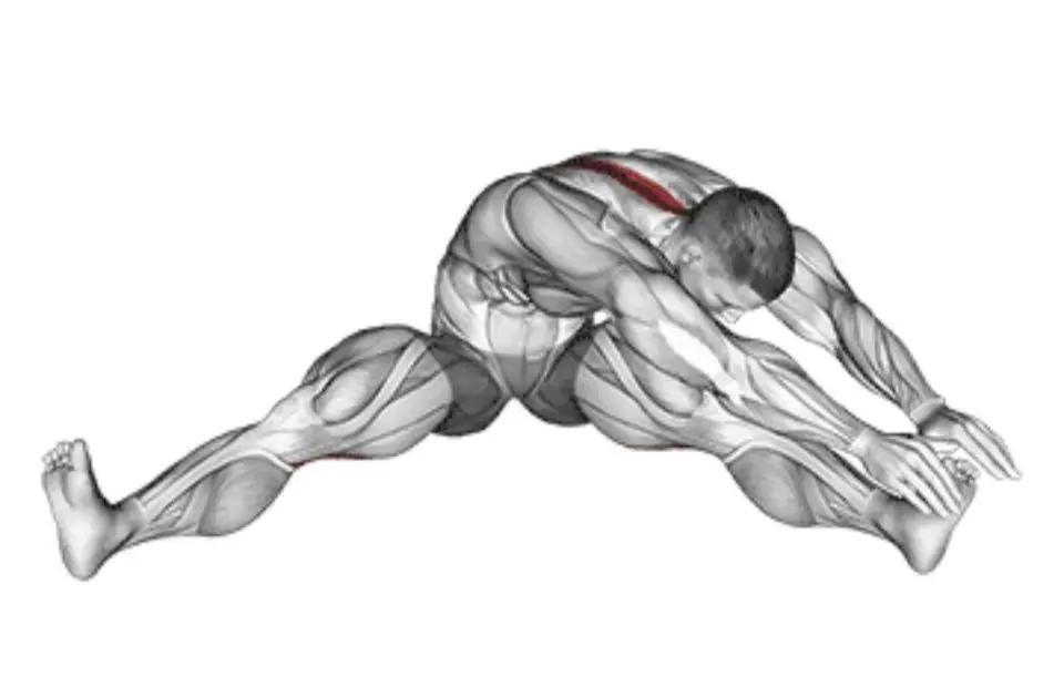 拉伸运动好处_办公室拉伸动作_瑜伽拉力带锻炼方法