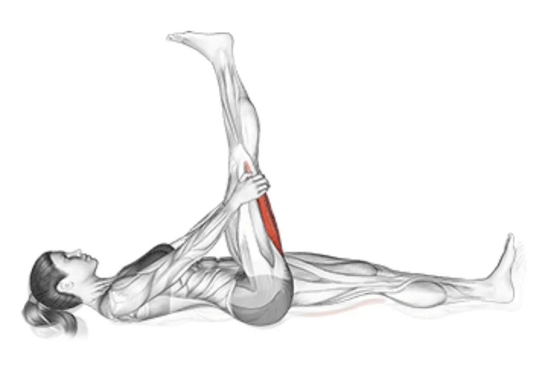 瑜伽拉力带锻炼方法_办公室拉伸动作_拉伸运动好处