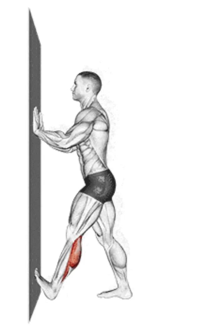 办公室拉伸动作_瑜伽拉力带锻炼方法_拉伸运动好处