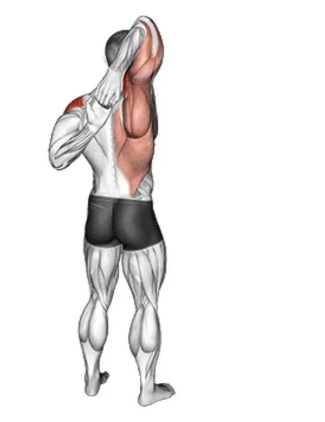 拉伸运动好处_办公室拉伸动作_瑜伽拉力带锻炼方法