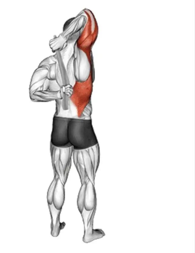 拉伸运动好处_瑜伽拉力带锻炼方法_办公室拉伸动作