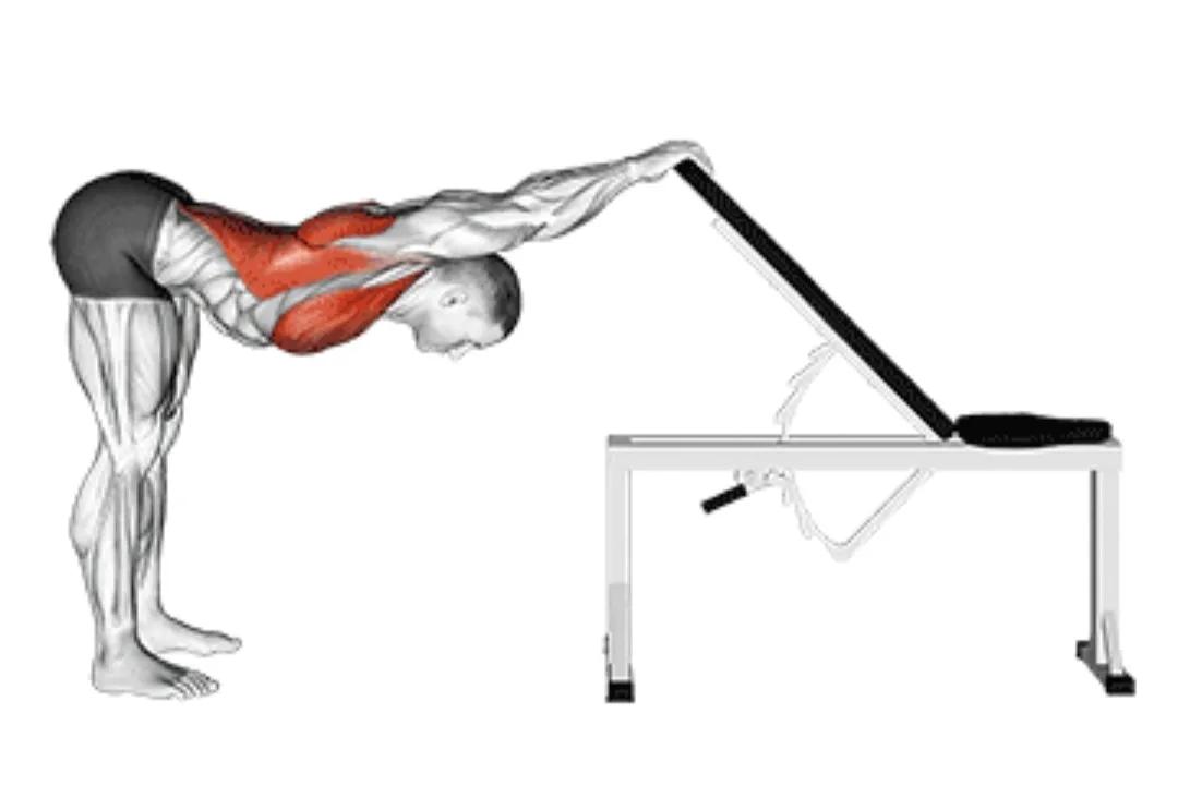 办公室拉伸动作_瑜伽拉力带锻炼方法_拉伸运动好处