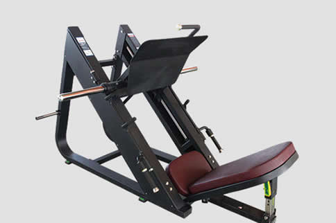 健身器材种类_大飞鸟健身器材介绍_健身综合训练器