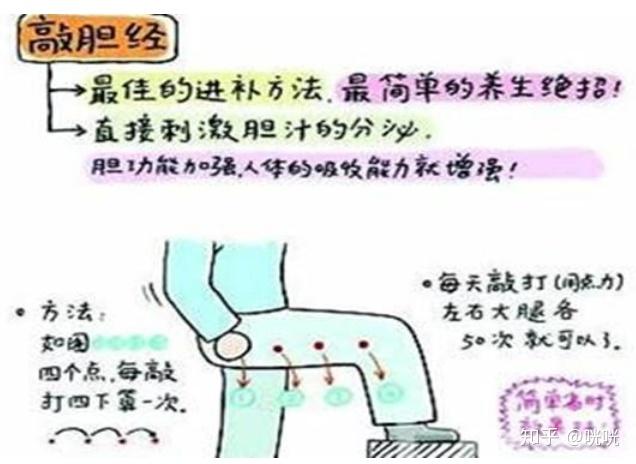 脂肪腿训练_肌肉腿矫正_瘦腿操下载