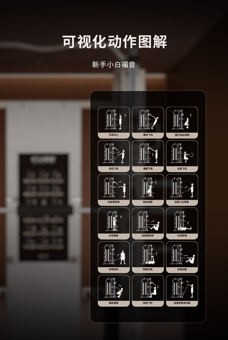 赏金女王pg破解版下载 家用综合训练器热门品牌