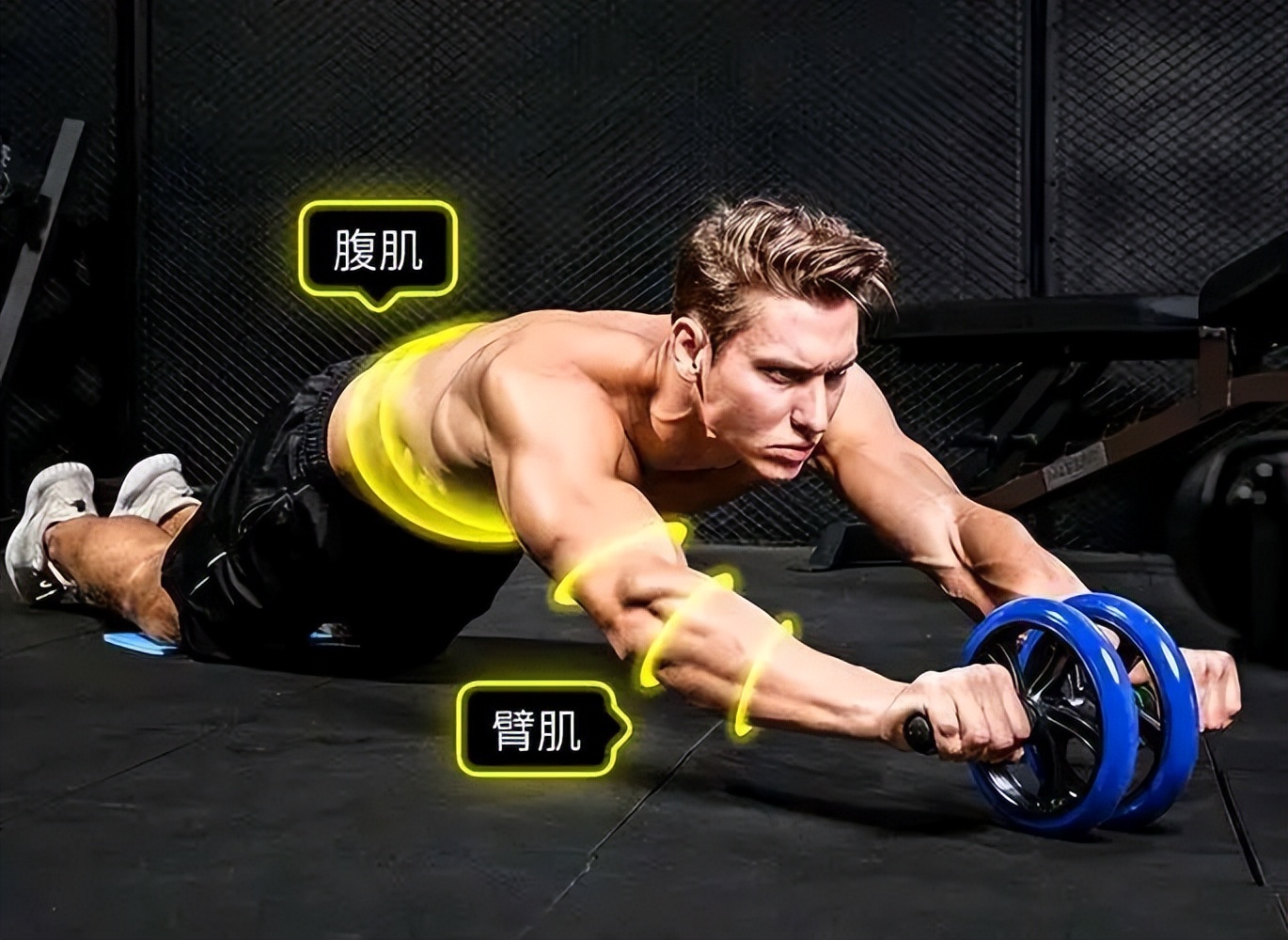 pg网赌软件下载 健腹轮，你做对了吗？