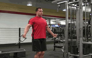 男性胸肌训练方法_上胸肌训练动作_健身肌肉分离度怎么提高