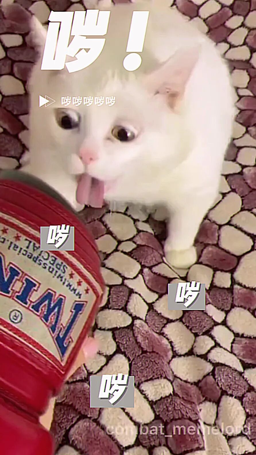 拳套清洁保养方法_拳击拳套卫生_健身手套有味