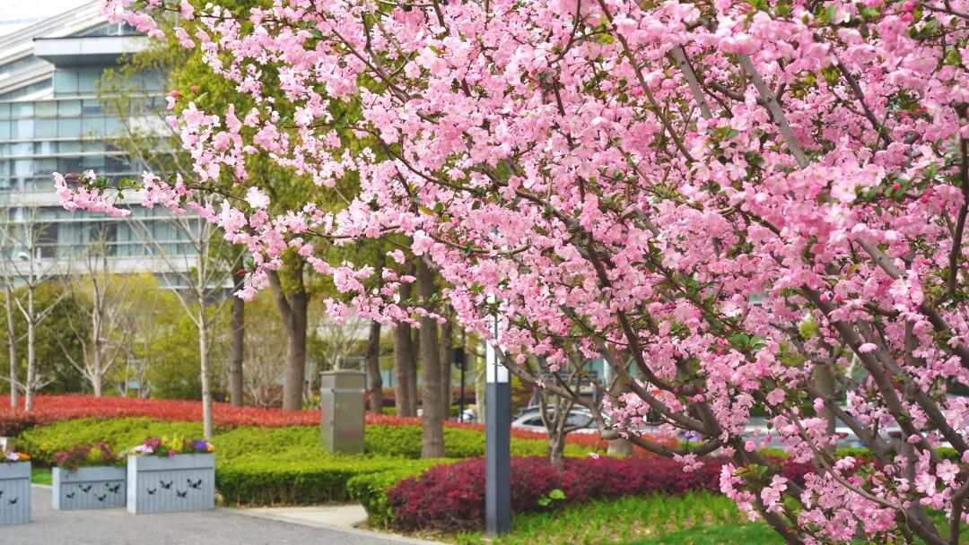 智能健身器材 苏河公园 健身新姿势_综合训练器健身器