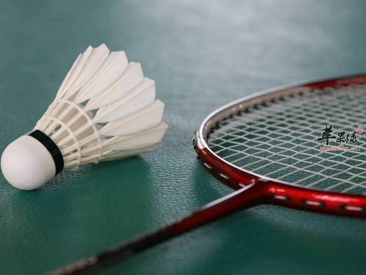 免费qq黄钻网站大全下载 打羽毛球的具有八种身体健身好处
