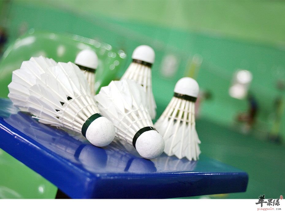 打羽毛球的好处你懂吗