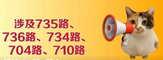 没运动小腿肌肉酸痛_抽筋不是缺钙怎么办_小腿抽筋原因