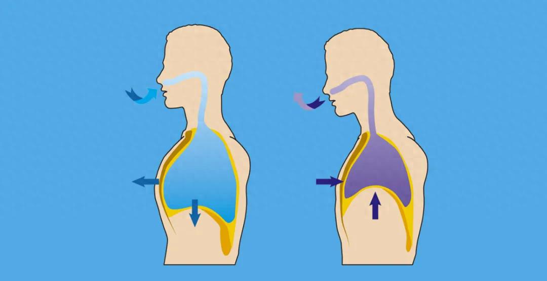 问鼎赏金女王pg官网入口下载 改成“腹式呼吸”后，睡眠不自觉变好了