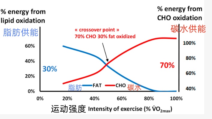 综合力量训练器_运动几分钟才有效果_运动时间多久最合适