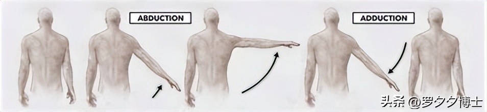 小腿萎缩恢复锻炼方法_老年人卧床运动好处_卧床不起老年人锻炼方法