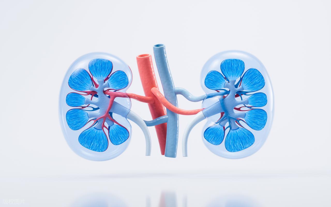 快走补肾_锻炼身体能强肾吗_中等强度有氧运动改善肾功能