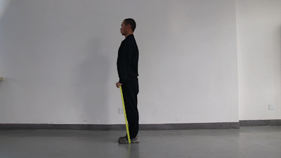 居家弹力带锻炼_现代体能训练:弹力带全方位力量训练方法_弹力带训练方法