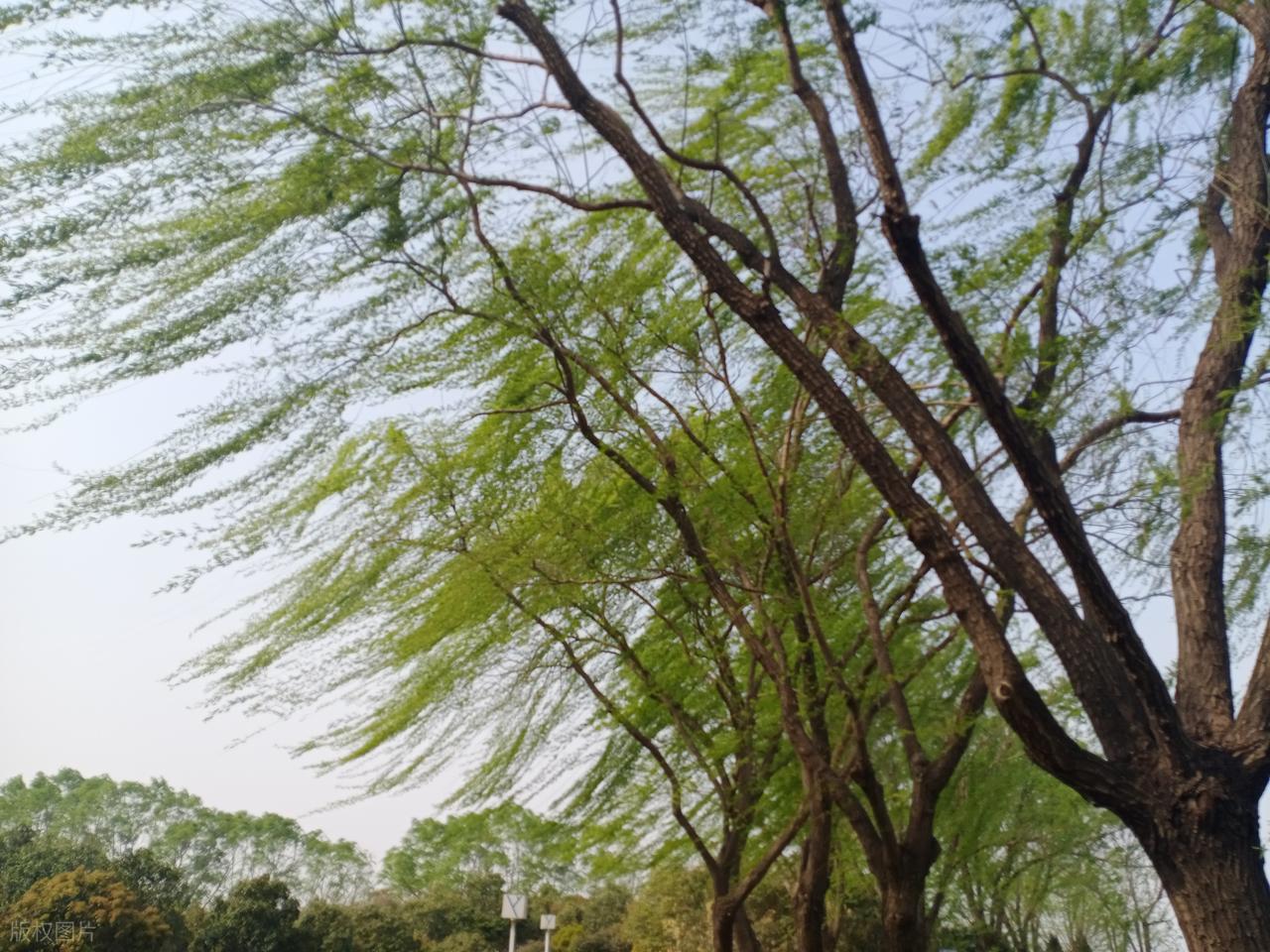 做力量训练时呼吸方法_肺气肿呼吸训练方法_肺气肿春季护理